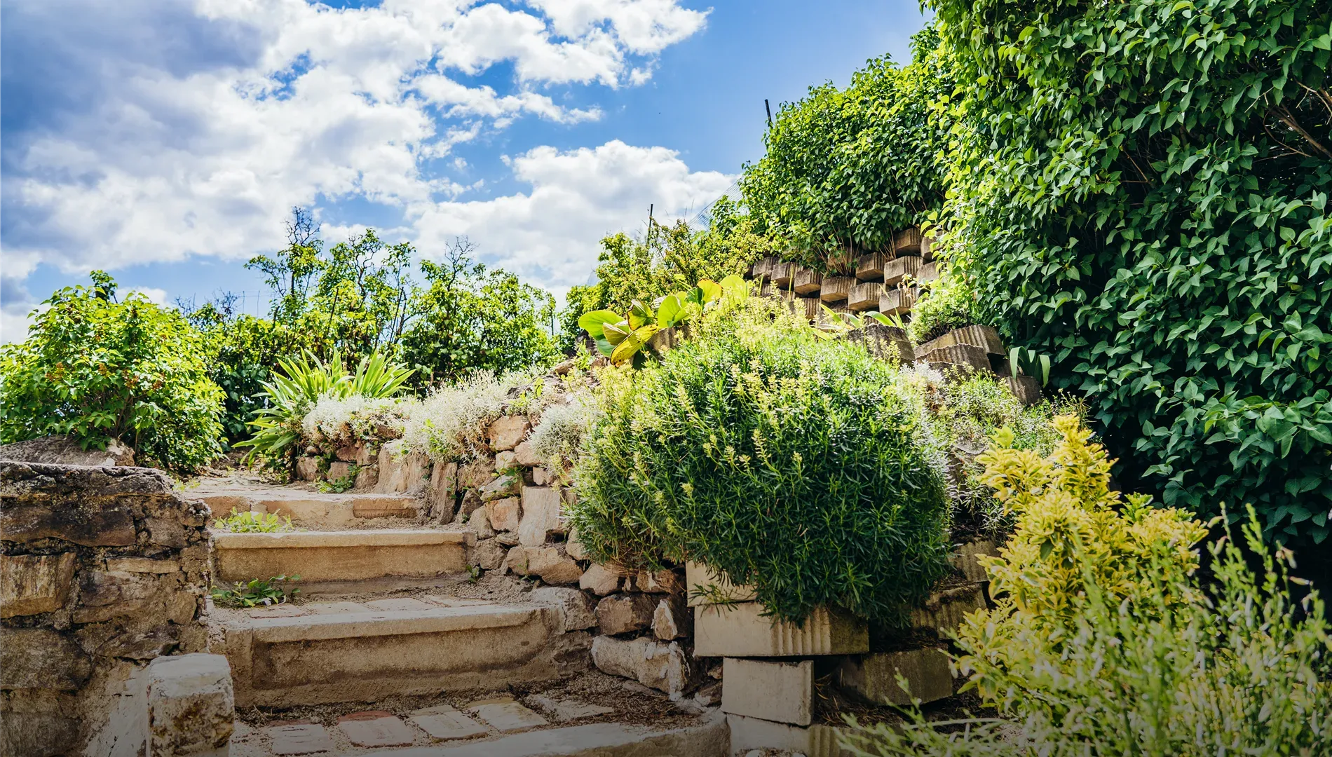 Kein Bildtext verfügbar